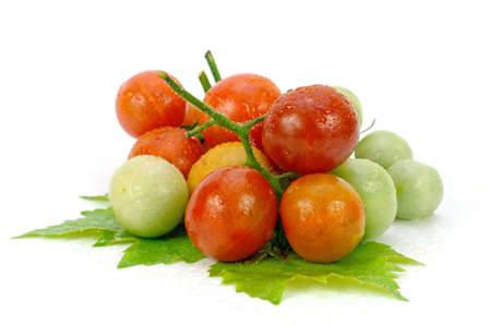 Fresh Tomatoes on White Background.の写真素材