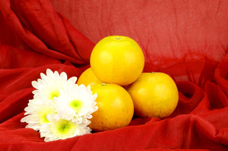 Chinese New Year Oranges . Xin Nian Kuai Le.の写真素材