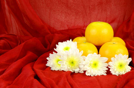 Chinese New Year Oranges . Xin Nian Kuai Le.の写真素材