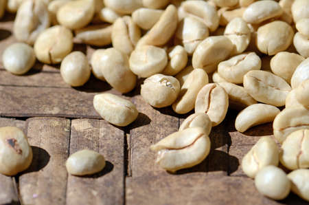 Sun drying parchment coffee.の写真素材