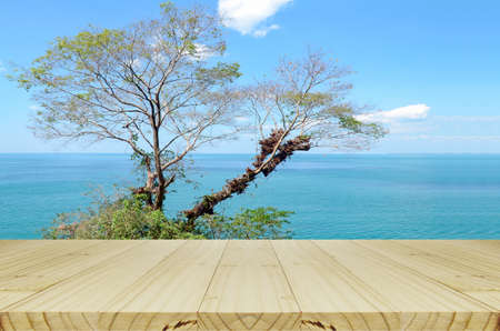 Bright sSky and South Sea View on the Sunny Day.の写真素材