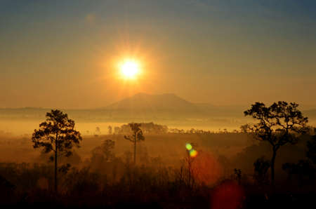 Summer Sunrise and Fog on Savanna Glassland.の写真素材