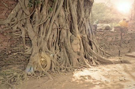 Tourist Attraction, Head of Buddha in Wat Mahathat The Temple of Great Relic of Ayutthaya, Thailand.の写真素材