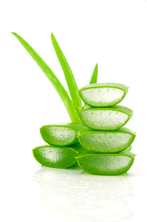 Slice Aloe Vera (Aloe barbadensis Mill.,Star cactus, Aloe, Aloin, Jafferabad or Barbados) a very useful herbal medicine for skin care and hair care.の写真素材