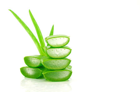 Slice Aloe Vera (Aloe barbadensis Mill.,Star cactus, Aloe, Aloin, Jafferabad or Barbados) a very useful herbal medicine for skin care and hair care.の写真素材