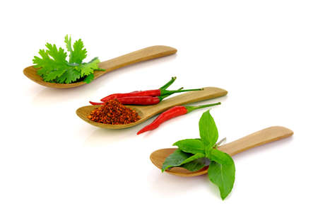 Mixed Asian spices. Coriander leaves, red chilli and sweet basil leaves on white background.の写真素材