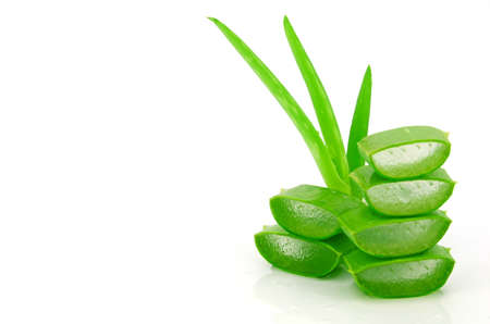 Slice Aloe Vera (Aloe barbadensis Mill.,Star cactus, Aloe, Aloin, Jafferabad or Barbados) a very useful herbal medicine for skin care and hair care.の写真素材