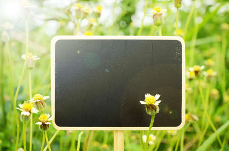 Wooden board signs on small flowers background with warm light tone.の写真素材