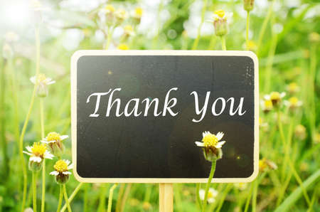 Wooden board signs on small flowers background with warm light tone.の写真素材
