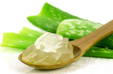 Aloe Vera Gel in Wooden Spoon with Aloe Vera Leaves on White Background. Aloe Vera gel almost use in food, medicine and beauty industry.の写真素材