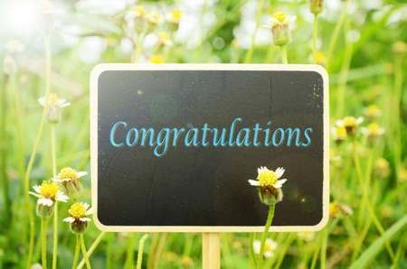 Wooden board signs on Mexican daisy flowers background with warm light tone. Congratulations.の写真素材