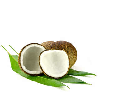 Coconut (Cocos nucifera). Cut coconut shell with fresh organic coconut kernel redy for make coconut milk and cold press coconut oli.の写真素材