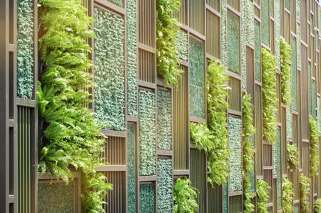 Green Wall with Vertical Demo Gardenning in Warm Light Tone.の写真素材