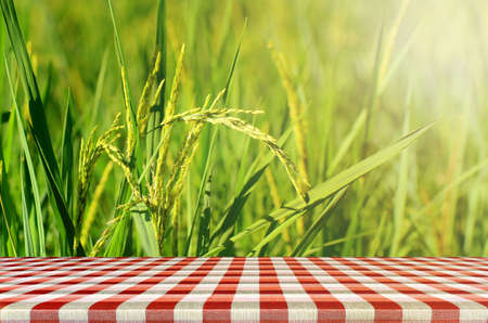 Jasmin Rice Plantation Field with Product Display Counter.の写真素材