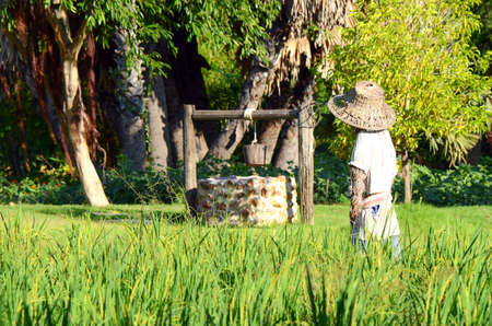 Thai Farmer's Lifestyle.の写真素材