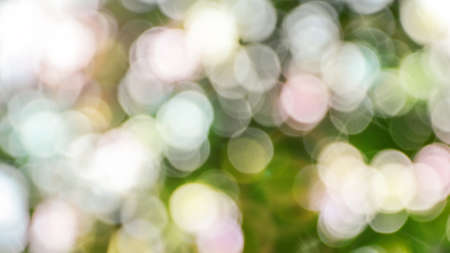 Natural Bokeh Blur with Pastel Tone Light. Abstract Nature Background.の写真素材