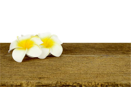 White and yellow Plumeria flower on old wood table isolated on white background with clipping path.の写真素材