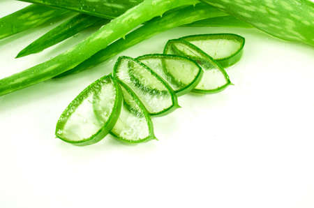 Slice Aloe Vera (Aloe barbadensis Mill.,Star cactus, Aloe, Aloin, Jafferabad or Barbados) a very useful herbal medicine for skin care and hair care.の写真素材