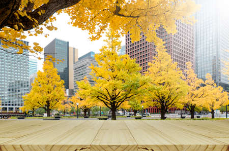 Autumn leaves in Tokyo, Japan. Picnic table in the park with yellow Ginko Leaves in autumn.の写真素材