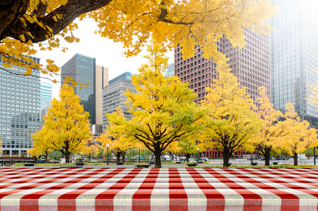 Autumn leaves in Tokyo, Japan. Picnic table in the park with yellow Ginko Leaves in autumn.の写真素材