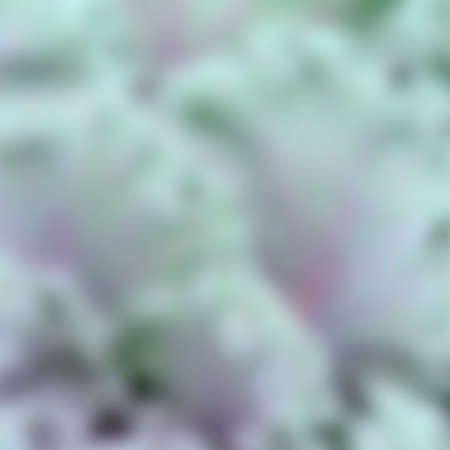 Blue-green and purple background.の写真素材