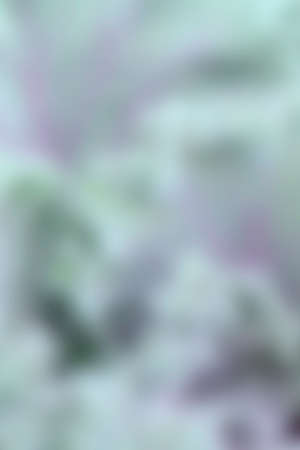 Blue-green and purple background.の写真素材
