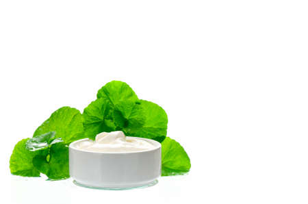 Indian pennywort (Centella asiatica (L.) Urban.) anti-aging skin care product.の写真素材