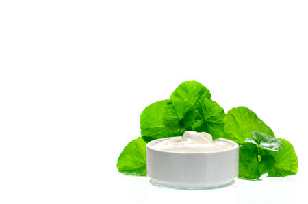 Indian pennywort (Centella asiatica (L.) Urban.) anti-aging skin care product.の写真素材