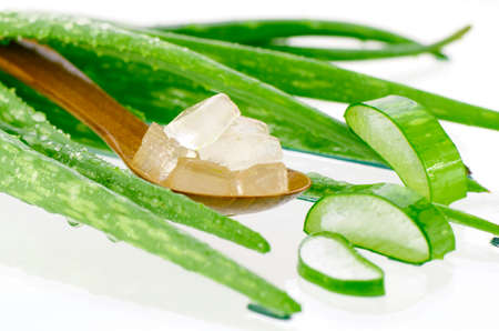 Spoonful of aloe vera el cut in cube. Aloe Vera Gel in Wooden Spoon with Aloe Vera Leaves on White Background. Aloe Vera gel almost use in food, medicine and beauty industry.の写真素材