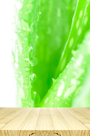 Closed-up of Aloe Vera Leaves Background with Rain Drops and Wood Table.の写真素材