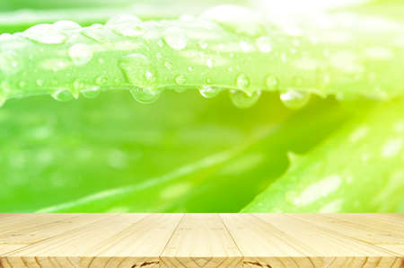 Closed-up of Aloe Vera Leaves Background with Rain Drops and Wood Table.の写真素材