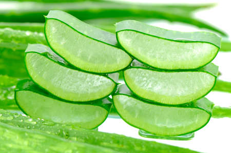 Slice Aloe Vera (Aloe barbadensis Mill.,Star cactus, Aloe, Aloin, Jafferabad or Barbados) a very useful herbal medicine for skin care and hair care.の写真素材