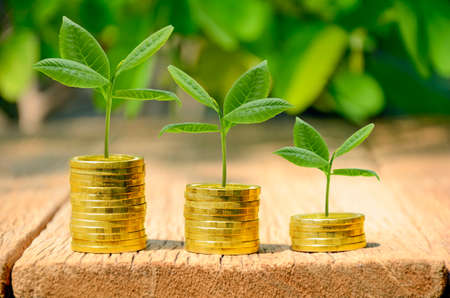 Investment, money, interest and financial concept.の写真素材