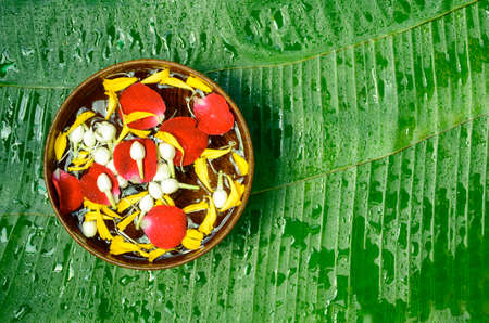 Banana leaves as background with wood blow fill with fragrant water, rose petals, marigold petals and jasmine flowers. Songkran festival inThai style background.の写真素材