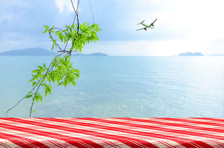 Vacation background at the seaside with picnic table. Perspective counter background with sea view.の写真素材