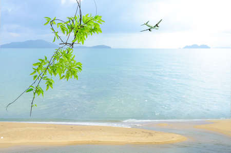 Vacation background at the seaside. Summer background with sea view.の写真素材