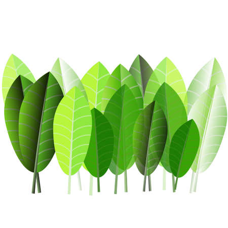 Different shade of green leaves.のイラスト素材