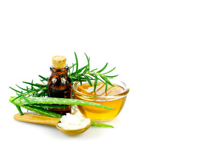 Aloe Vera, honey, rosemary, sea salt and essential oil homeopathy remedy recipe on white background.の写真素材