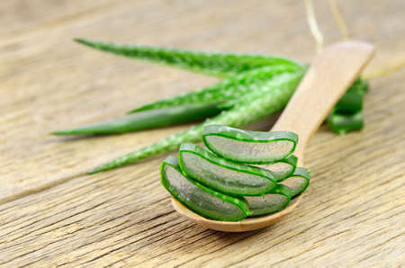 Cut Aloe Vera leaves in wood spoon.Aloe Vera (Aloe barbadensis Mill.,Star cactus, Aloe, Aloin, Jafferabad or Barbados) a very useful herbal medicine for skin care and hair care.の写真素材