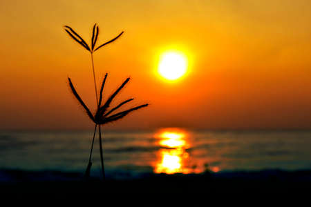 Morning sunrise at the seaside. Early morning sunrise.の写真素材