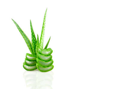 Slice Aloe Vera (Aloe barbadensis Mill.,Star cactus, Aloe, Aloin, Jafferabad or Barbados) a very useful herbal medicine for skin care and hair care.の写真素材