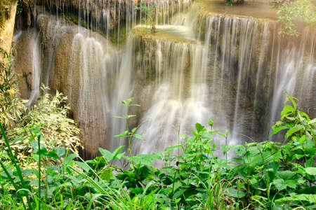 Beautiful scenic of the waterfall and green leaves for refreshing and relaxing background.の写真素材