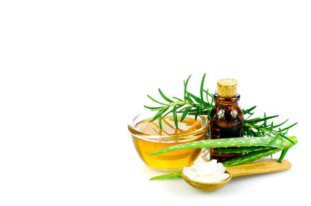 Aloe Vera, honey, rosemary, sea salt and essential oil homeopathy remedy recipe on white background.の写真素材