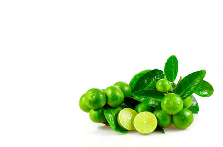 Seedless organic lime fruits (Citrus aurantifolia) isolated on white background.の写真素材