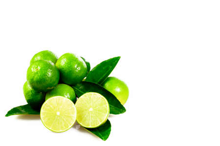 Seedless organic lime fruits (Citrus aurantifolia) isolated on white background.の写真素材