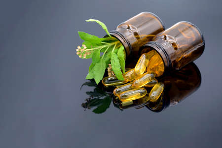Oil in capsule, amber bottle and fresh herbs on dark background in traditional medicine concept.の写真素材