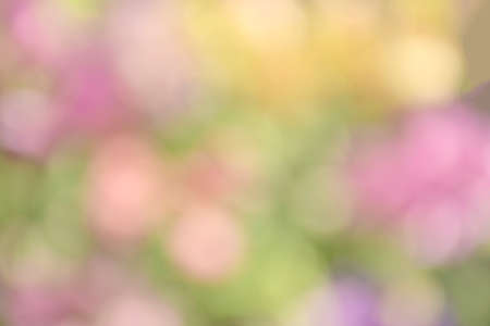 Abstract background with bokeh in pastel tone for spring, summer and blooming seasons.の写真素材