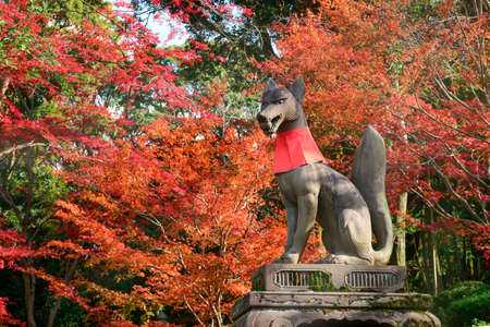 Fox statue and autumn leaves on Novenber at Fushimi Inari Shrine.のeditorial素材