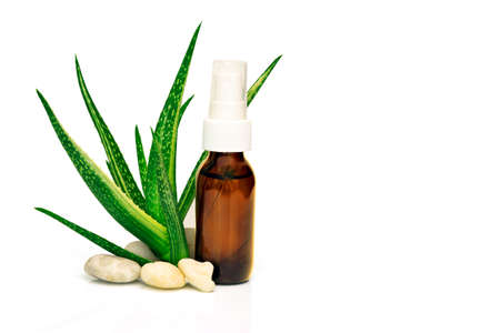 Aloe Vera leaves and Aloe Vera products isolated on white background with copyspace.の写真素材