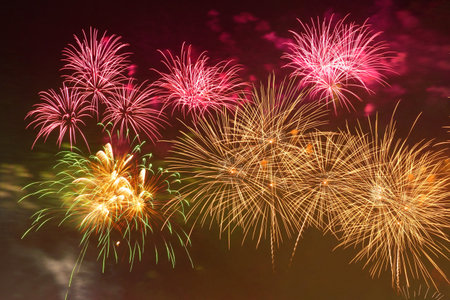 Colorful fireworks celebration and the city night light background.